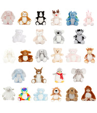 Load image into Gallery viewer, Personalised Plushies
