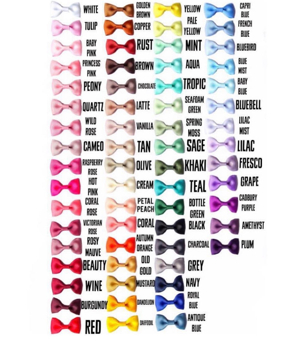 School - Set of 5