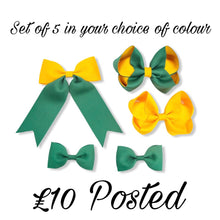 Load image into Gallery viewer, School - Set of 5
