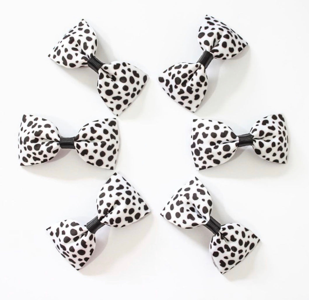 Dalmatian Print - All Sizes